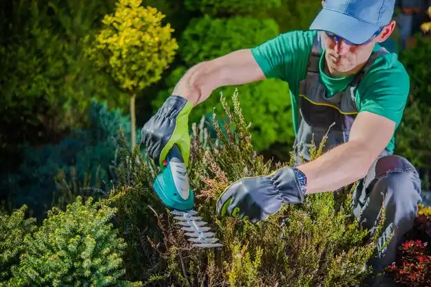 landscaping services Coshocton